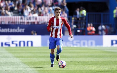 9D体育热评-哲科禁区内的王者