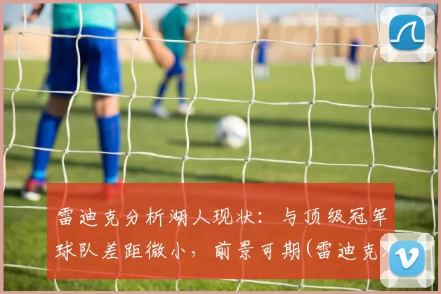雷迪克分析湖人现状：与顶级冠军球队差距微小，前景可期(雷迪克湖人今日消息)