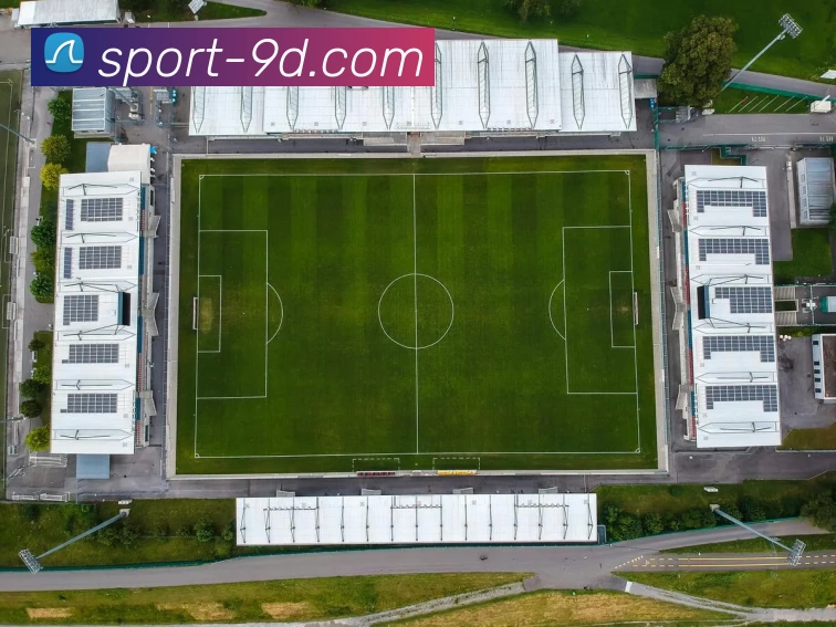 9D体育官网发展历程